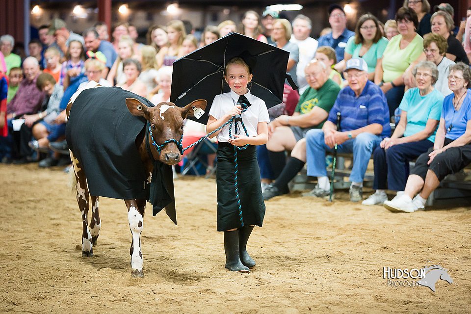 LCFair2016-3923.jpg