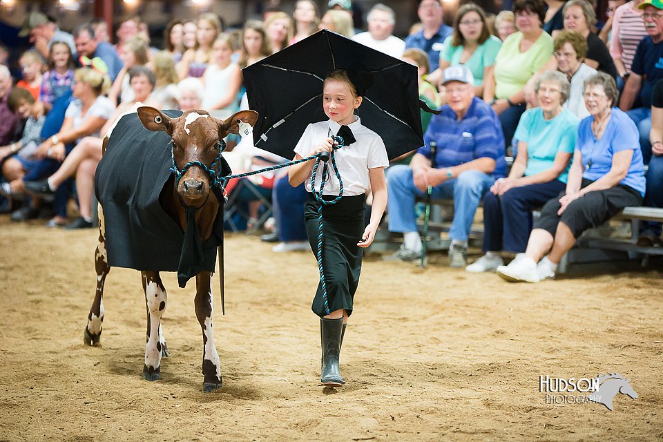 LCFair2016-3924.jpg