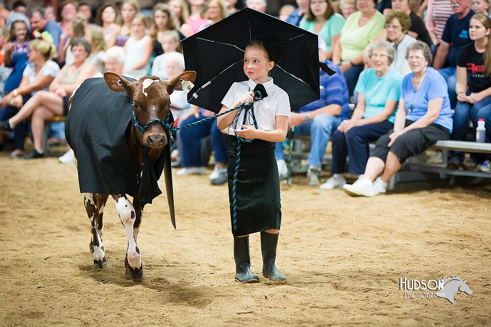 LCFair2016-3925.jpg