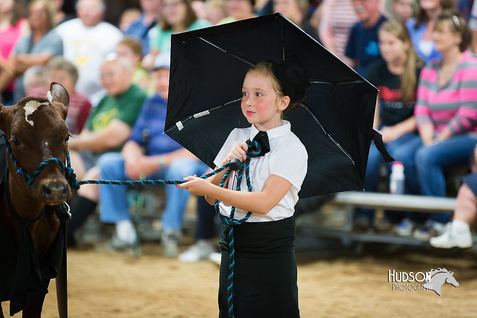 LCFair2016-3926.jpg
