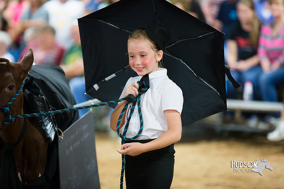 LCFair2016-3928.jpg