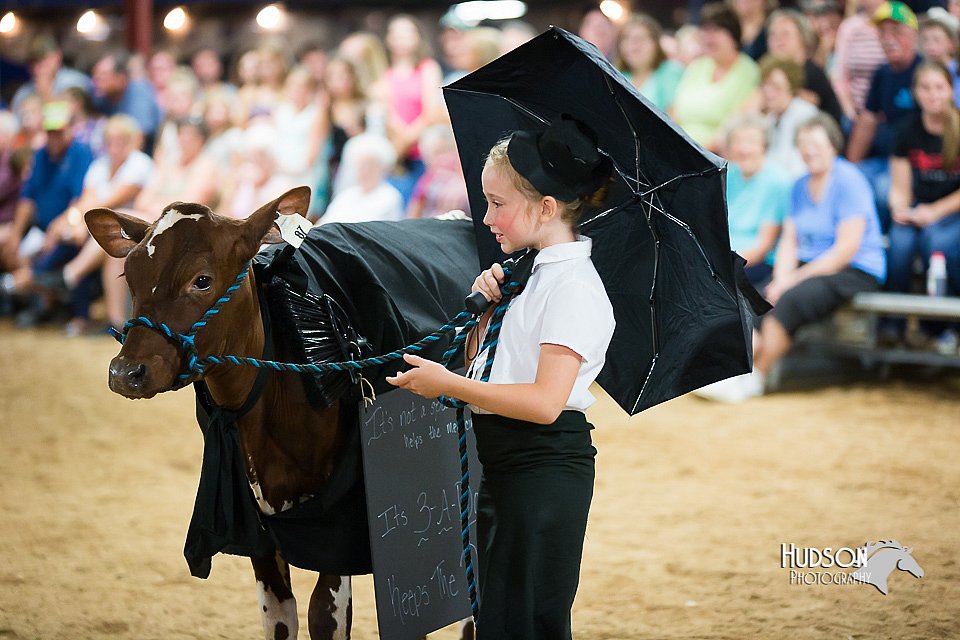 LCFair2016-3929.jpg