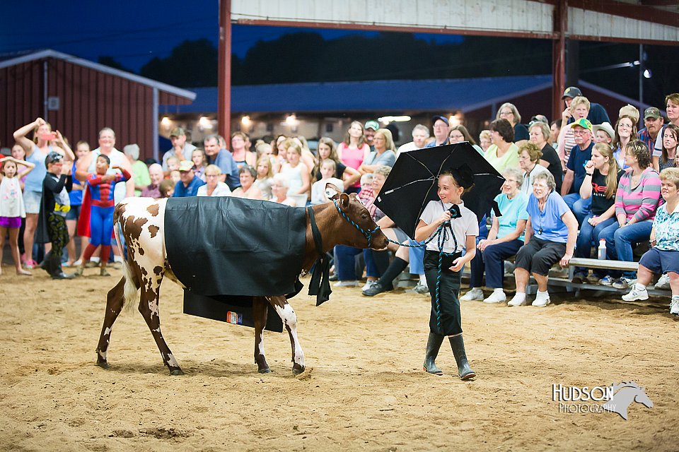 LCFair2016-3931.jpg