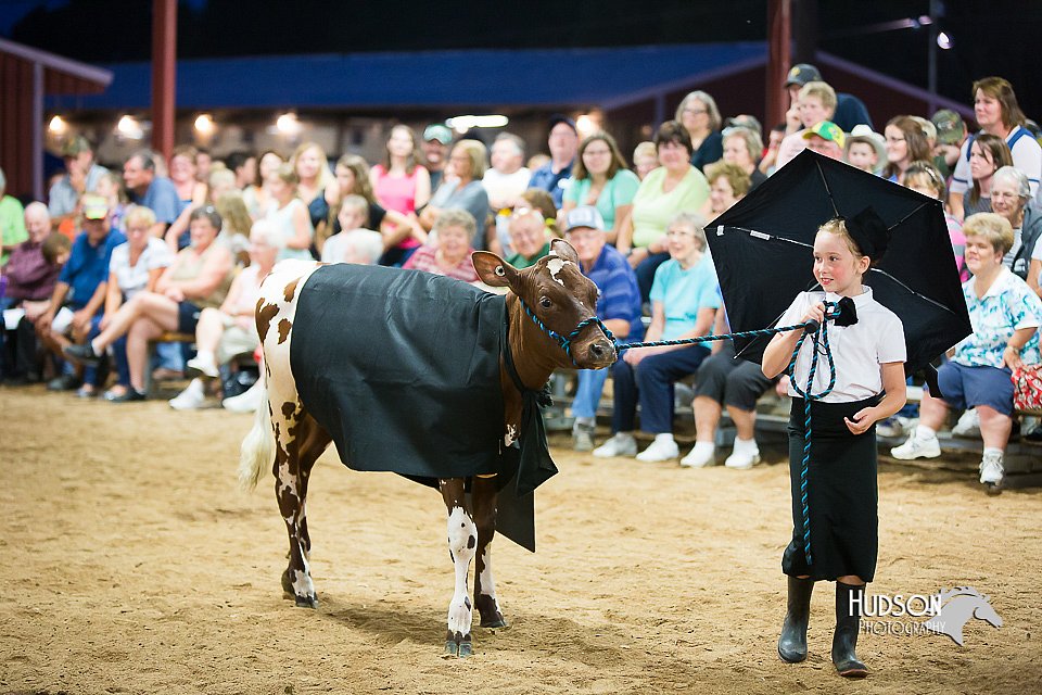 LCFair2016-3932.jpg