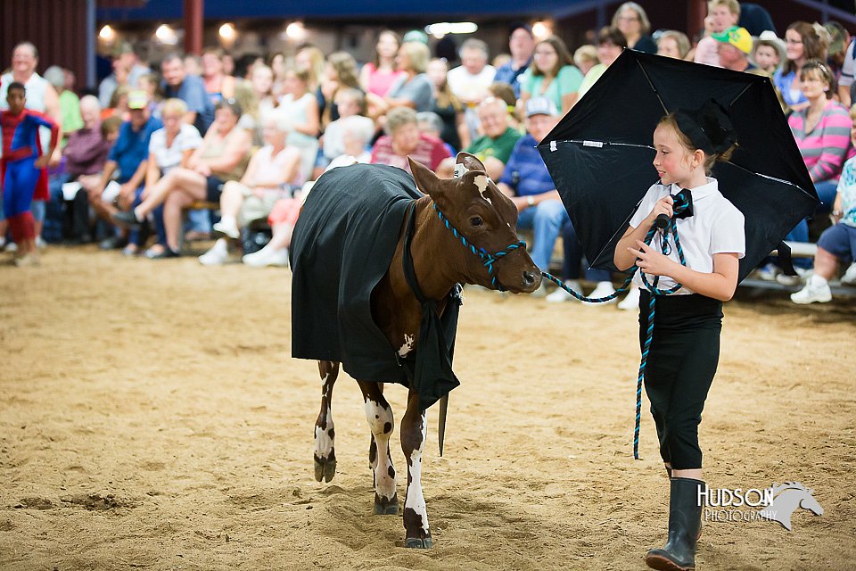 LCFair2016-3933.jpg