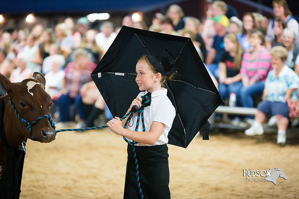 LCFair2016-3934.jpg