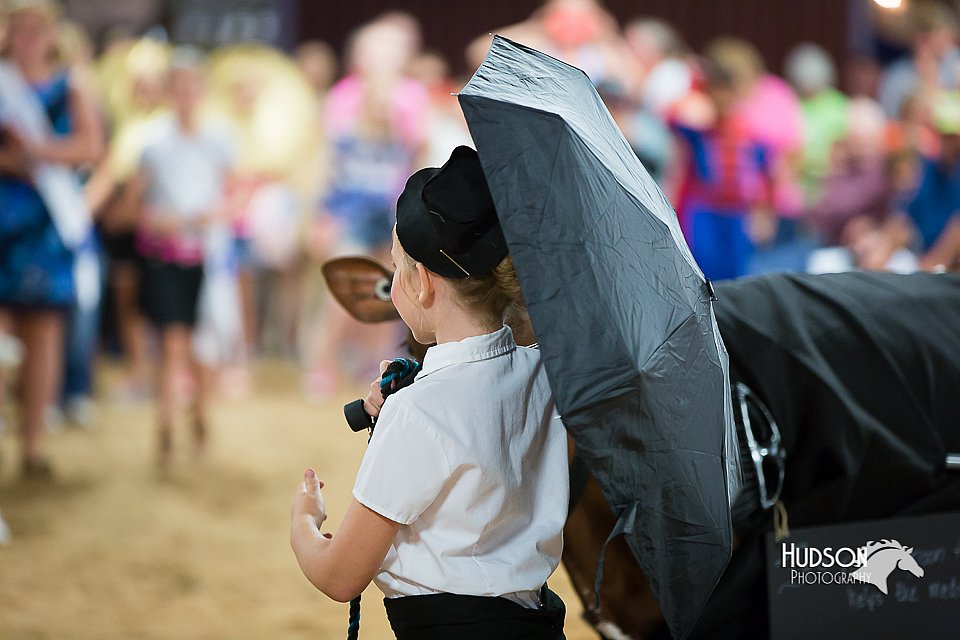 LCFair2016-3935.jpg