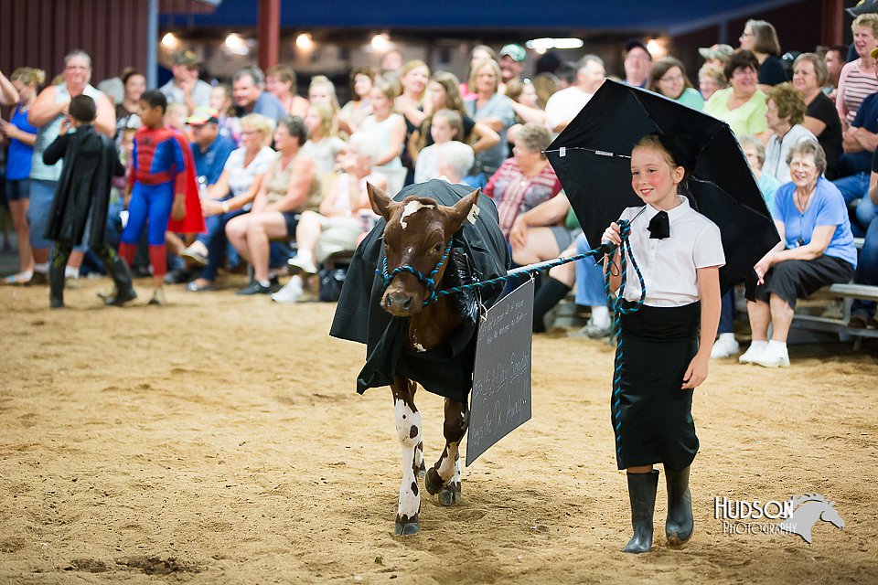 LCFair2016-3938.jpg