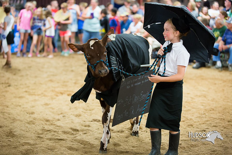 LCFair2016-3940.jpg