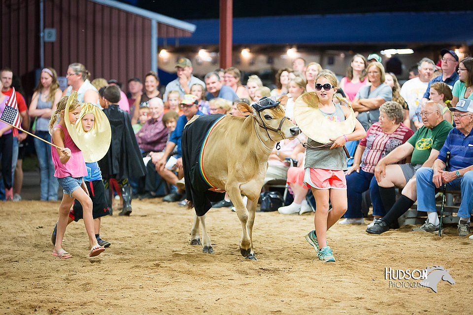 LCFair2016-3941.jpg
