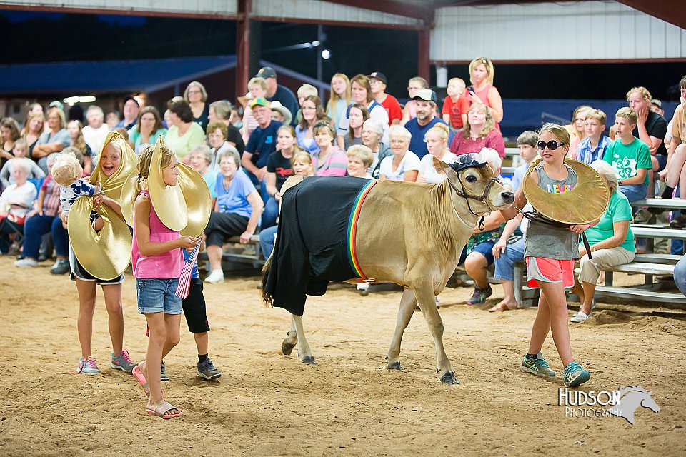 LCFair2016-3951.jpg