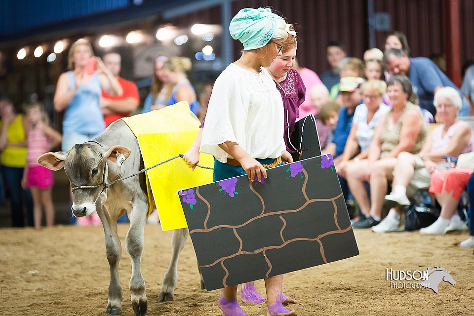 LCFair2016-4038.jpg