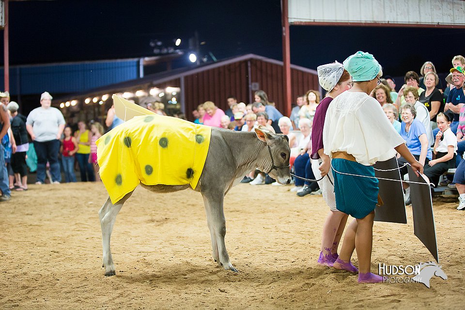 LCFair2016-4041.jpg