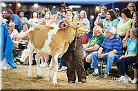 LCFair2016-3838.jpg