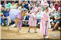 LCFair2016-3891.jpg