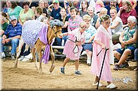 LCFair2016-3892.jpg