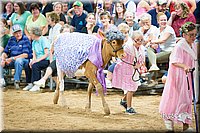 LCFair2016-3893.jpg