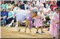 LCFair2016-3894.jpg