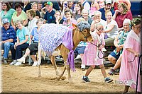 LCFair2016-3895.jpg