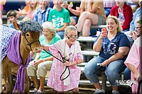 LCFair2016-3898.jpg