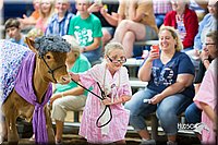 LCFair2016-3899.jpg