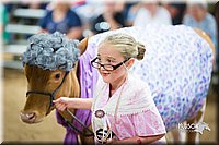 LCFair2016-3906.jpg