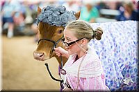 LCFair2016-3907.jpg