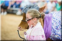 LCFair2016-3908.jpg