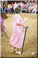 LCFair2016-3912.jpg