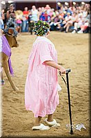 LCFair2016-3913.jpg