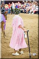 LCFair2016-3914.jpg