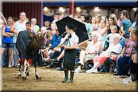 LCFair2016-3915.jpg
