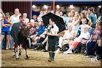 LCFair2016-3916.jpg