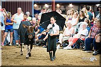 LCFair2016-3917.jpg