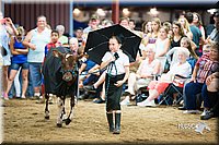 LCFair2016-3918.jpg