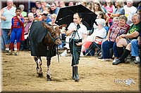 LCFair2016-3919.jpg