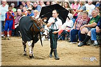 LCFair2016-3920.jpg
