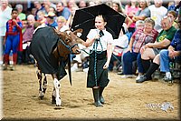 LCFair2016-3921.jpg