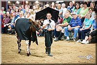 LCFair2016-3922.jpg