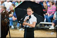 LCFair2016-3927.jpg