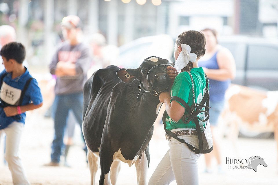 LCFair2016-4094.jpg
