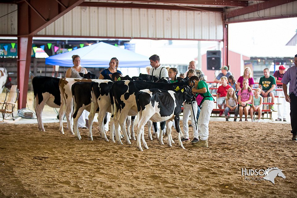 LCFair2016-4103.jpg