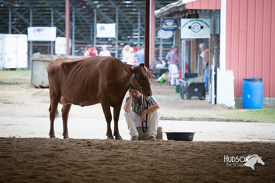 LCFair2016-4488.jpg