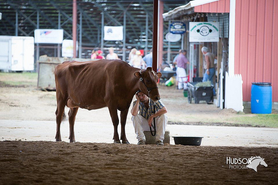 LCFair2016-4490.jpg