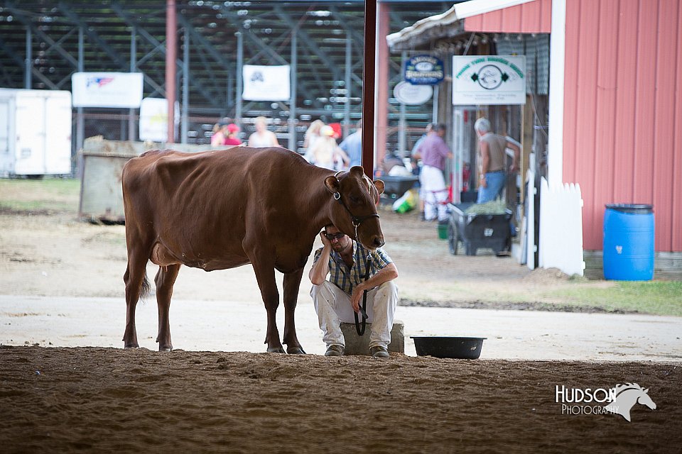 LCFair2016-4491.jpg