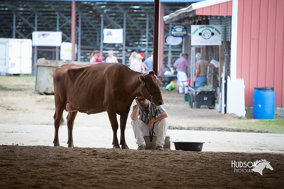 LCFair2016-4492.jpg