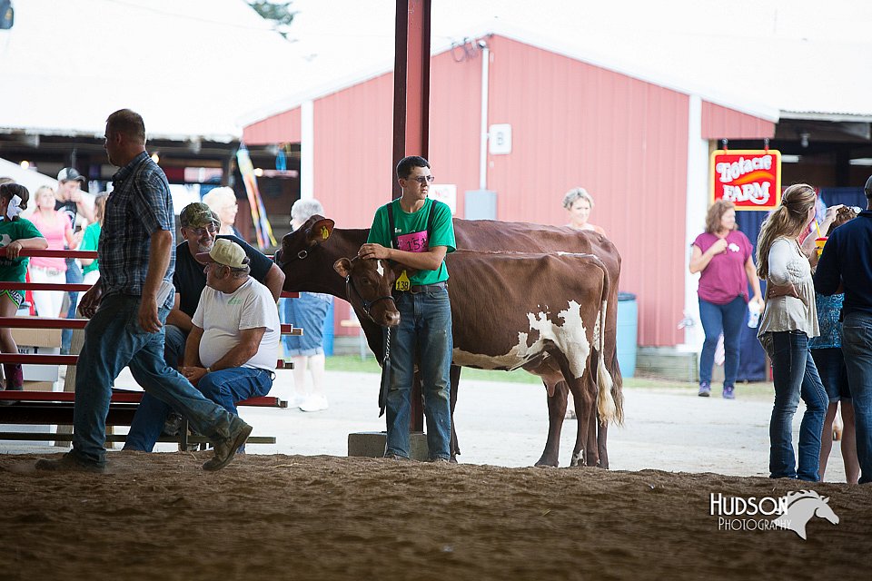 LCFair2016-4495.jpg