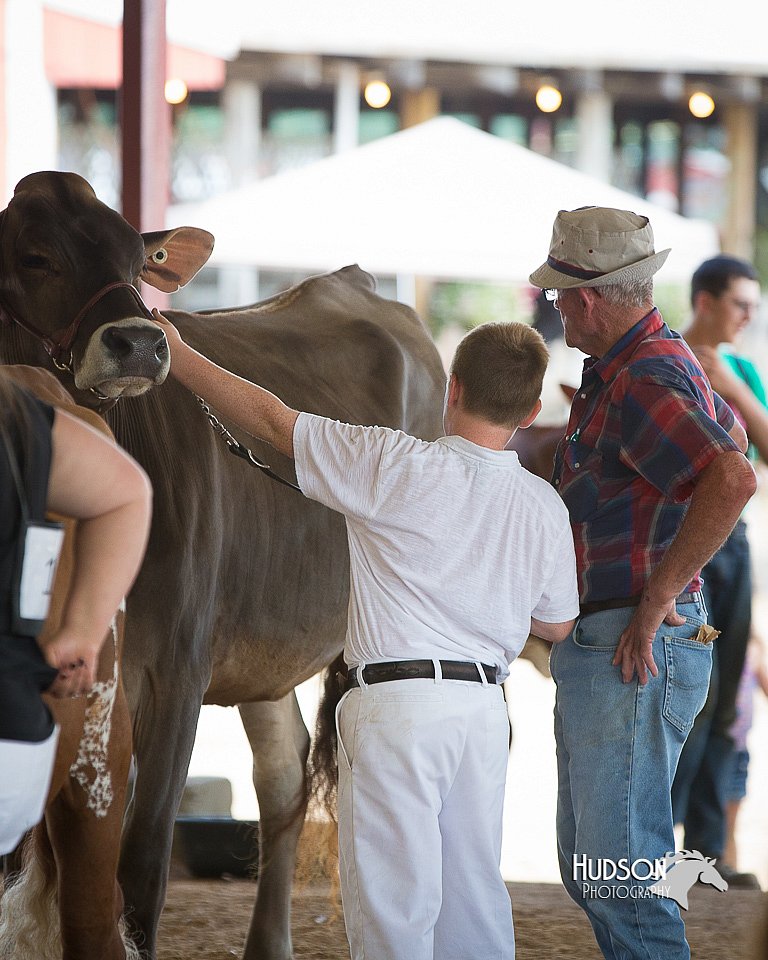 LCFair2016-4504.jpg