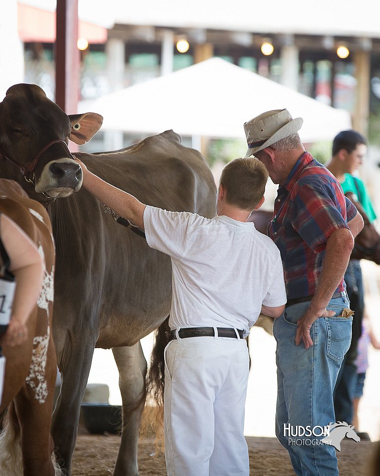 LCFair2016-4505.jpg