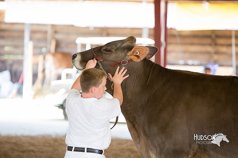 LCFair2016-4531.jpg